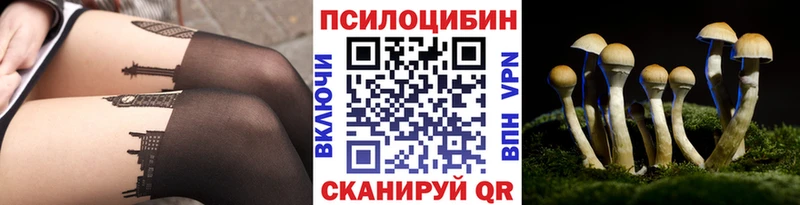 где продают наркотики  Сызрань  Псилоцибиновые грибы прущие грибы 